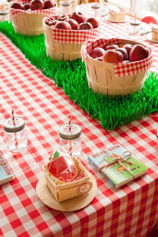 Adorable And Bright Farm Themed Kid s Birthday Party Kidsomania